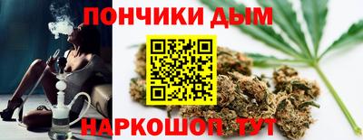 гидра Краснознаменск