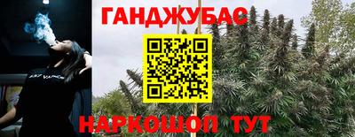 гидра Краснознаменск